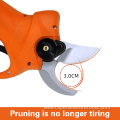 New hand-held electric fruit tree pruning shears